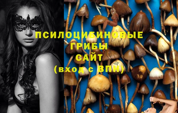 MESCALINE Абинск