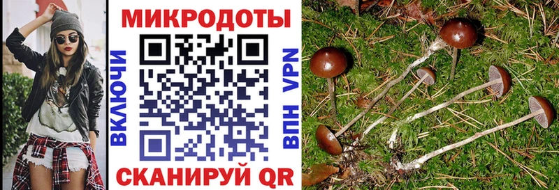 Галлюциногенные грибы Psilocybine cubensis  Тюкалинск 